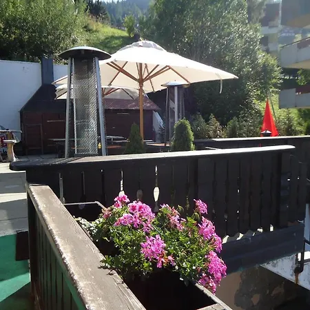 Les Fougeres And Bar 3* La Tzoumaz
